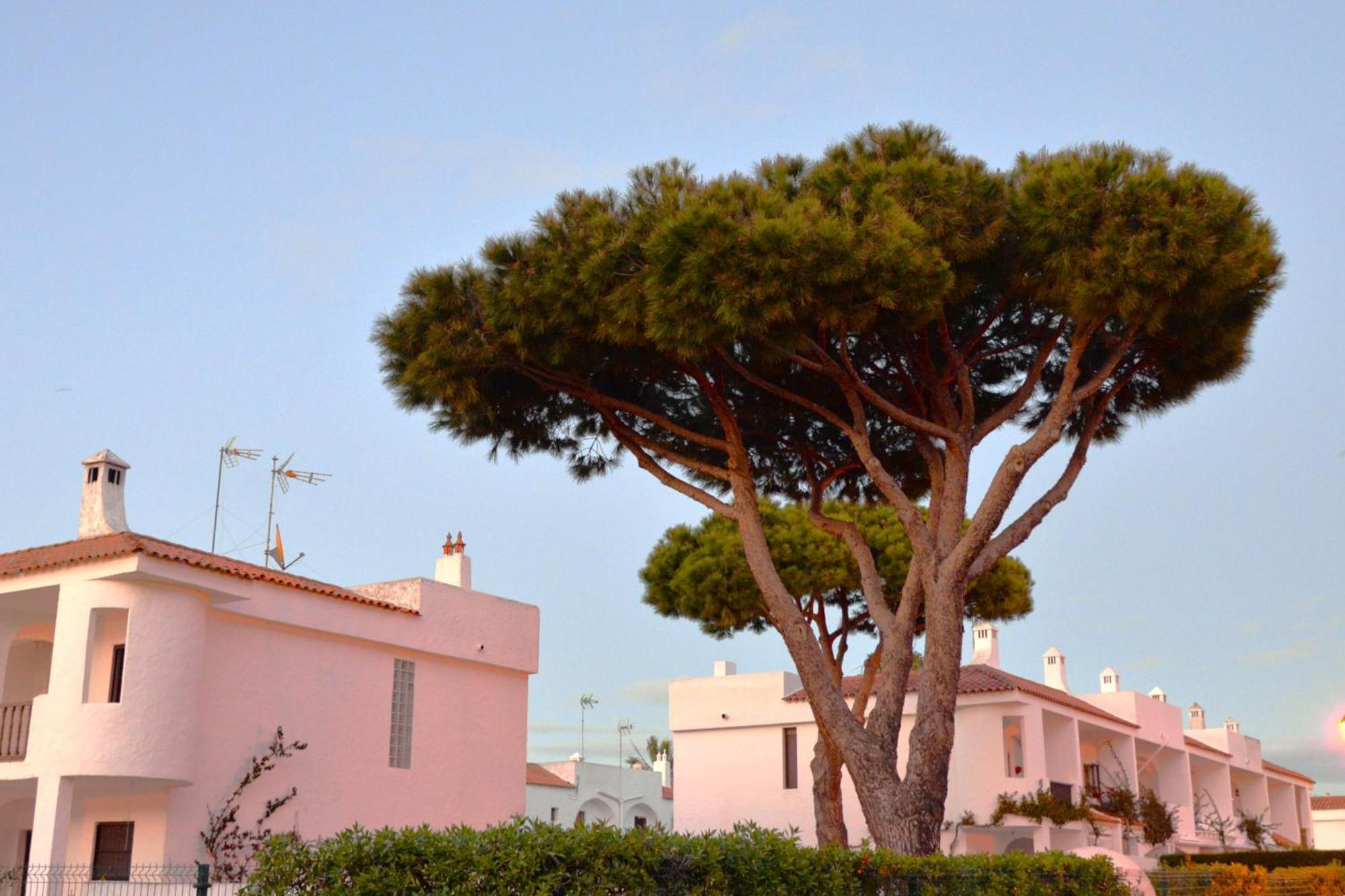 Casa Lea Villa Islantilla Eksteriør bilde