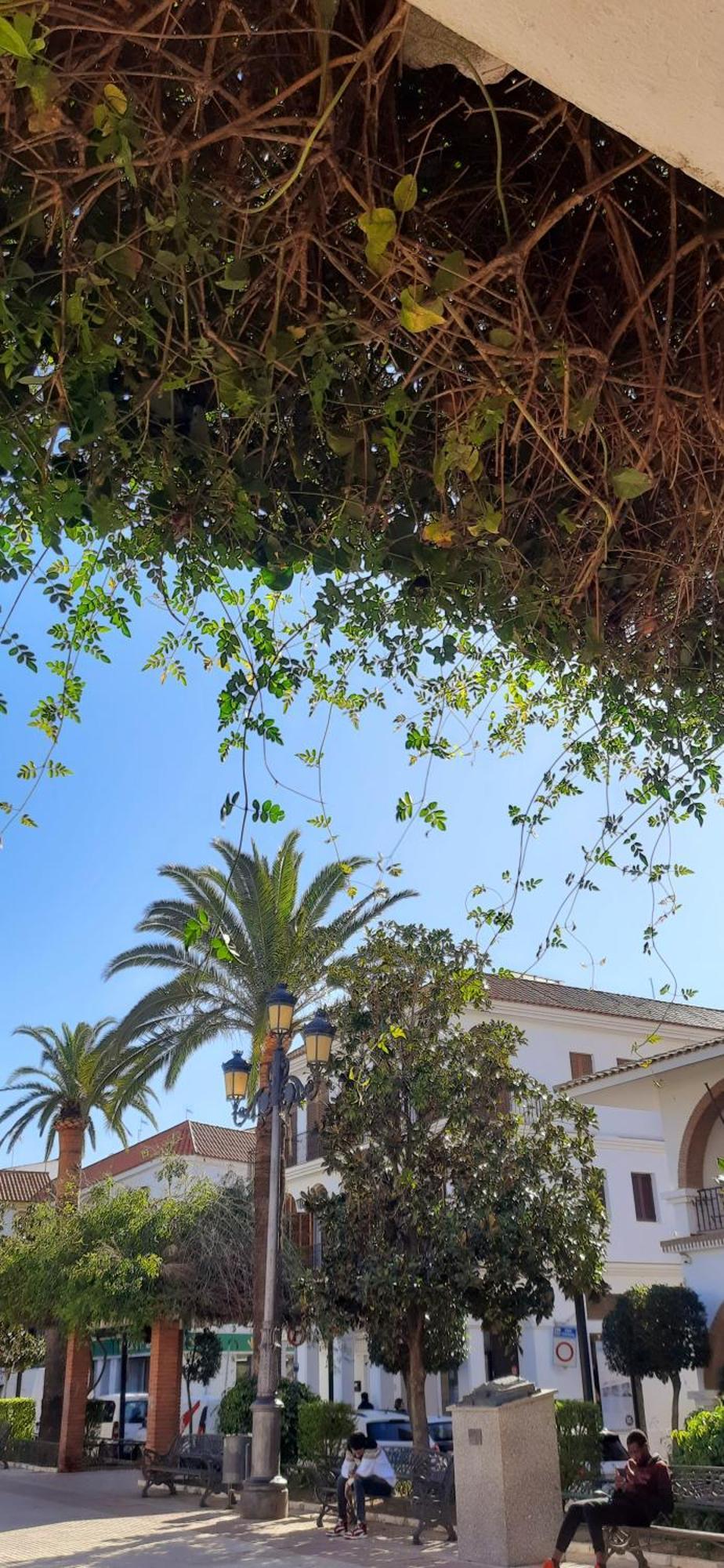 Casa Lea Villa Islantilla Eksteriør bilde
